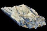 Vibrant Blue Kyanite Crystals In Quartz - Brazil #118874-1